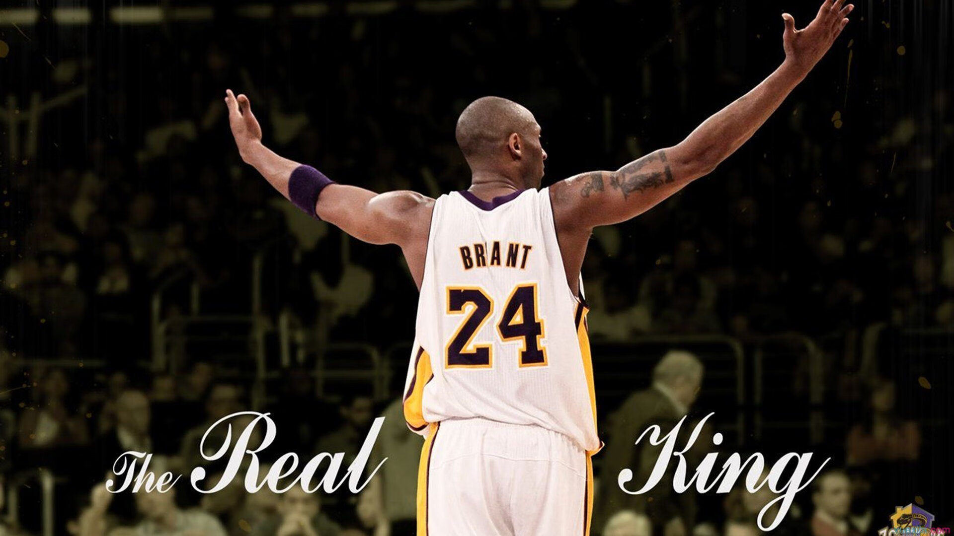 青少年篮球名师培养计划稳步推进,行业人才储备丰富,青少年篮球训练师